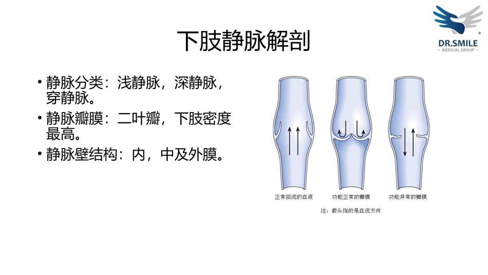 下肢静脉曲张的病理生理_第3页