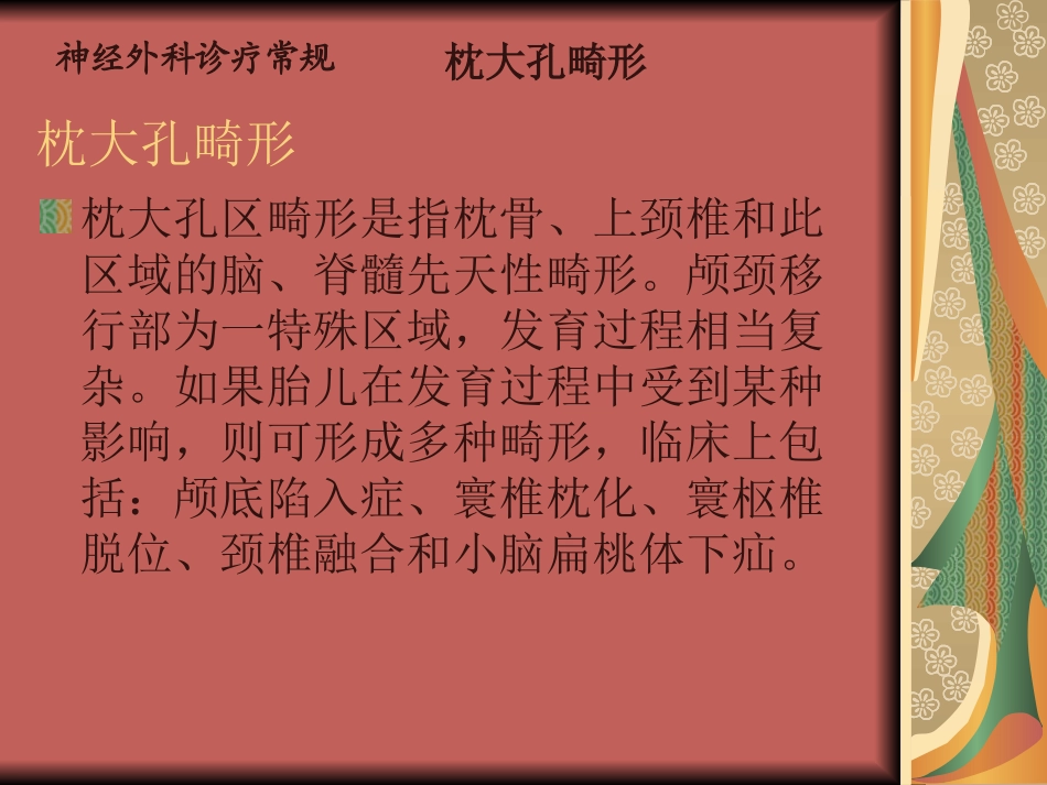 先天性疾病枕大孔畸形_第2页