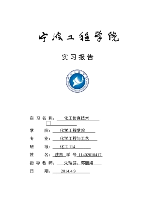 化工仿真技术实习报告(同名5059)