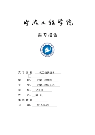 化工仿真技术实习报告