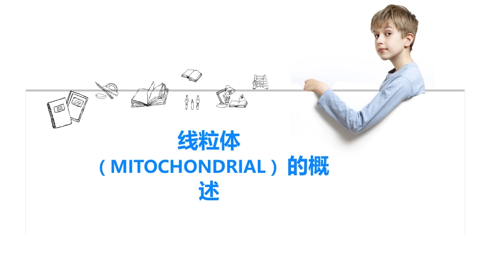 线粒体的概述_第1页