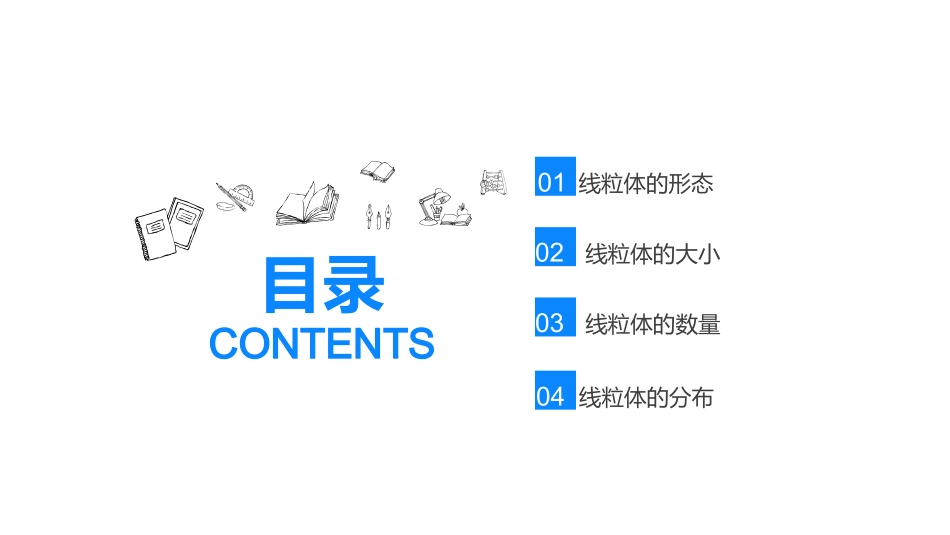 线粒体的概述_第2页