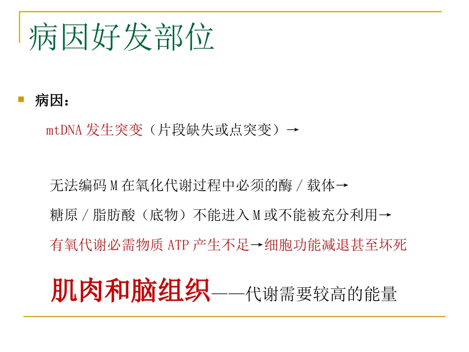 线粒体脑肌病_第3页