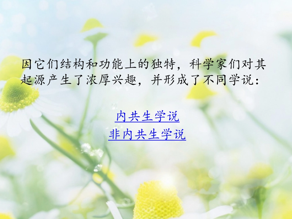 线粒体与叶绿体的来源_第3页