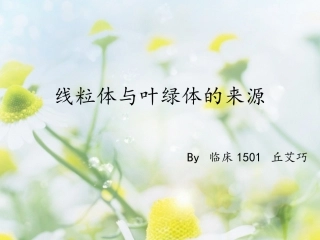 线粒体与叶绿体的来源