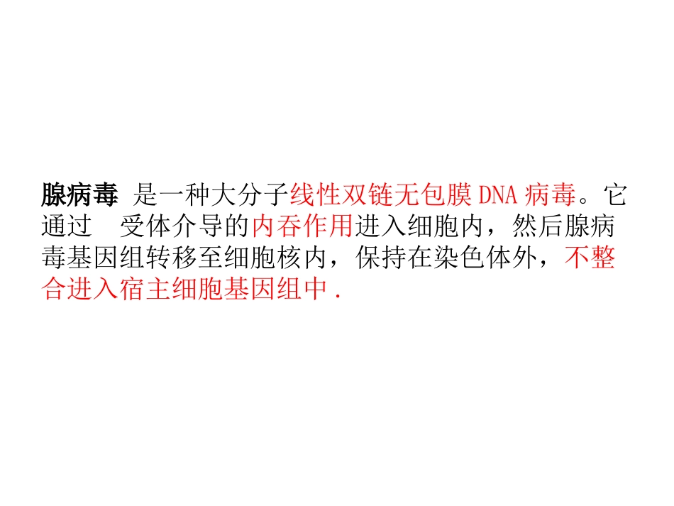 腺病毒载体构建分析_第3页