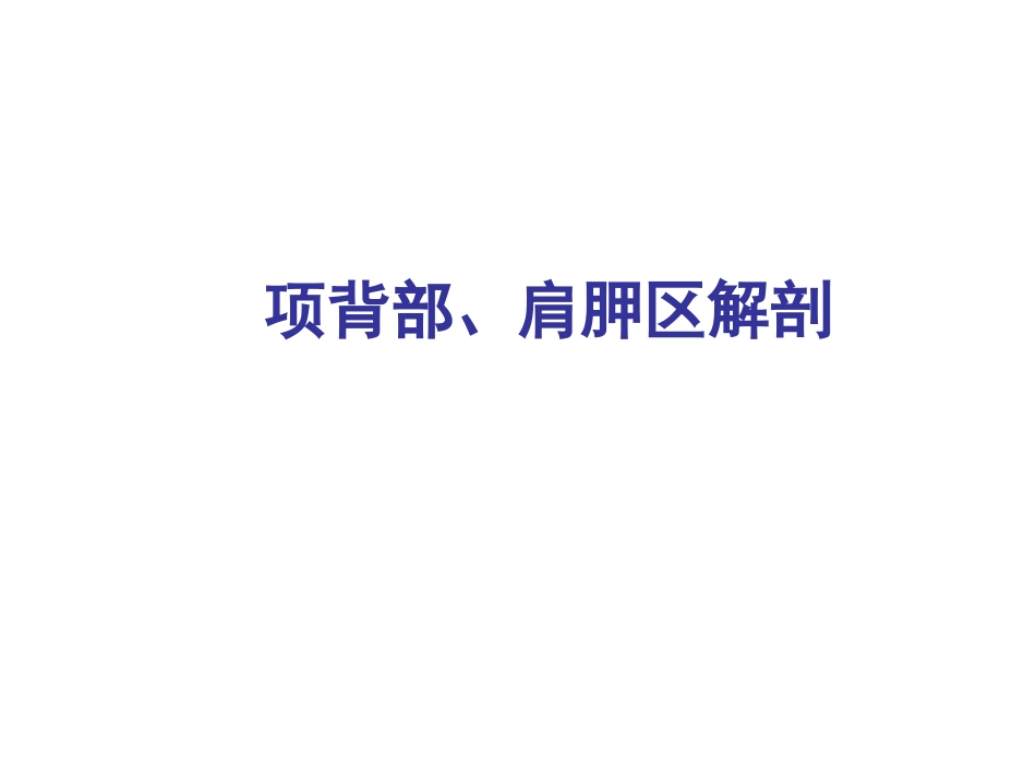 项背部肩胛区解剖汇总_第1页