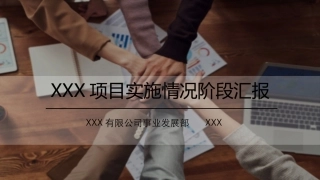 项目实施情况阶段汇报