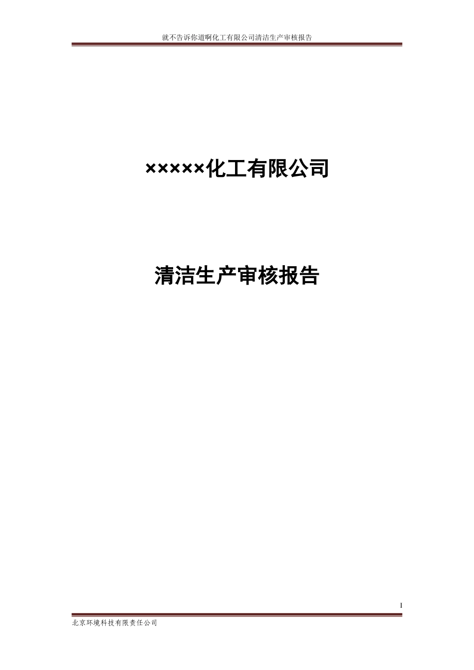 化工公司清洁生产审核报告_第1页