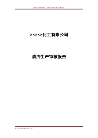 化工公司清洁生产审核报告