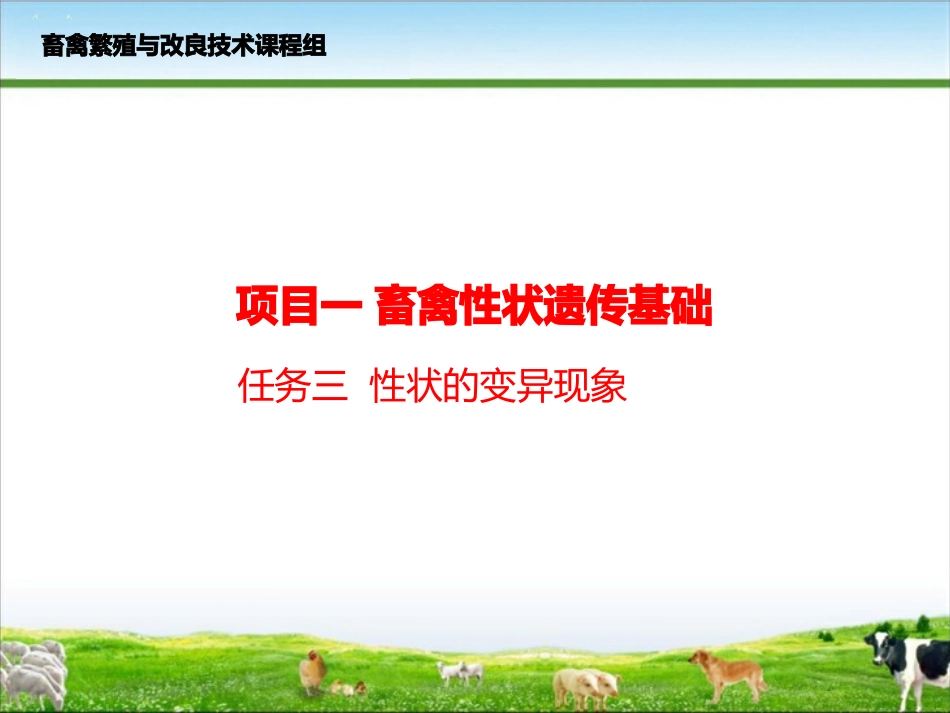 项目一任务三性状的变异现象_第1页