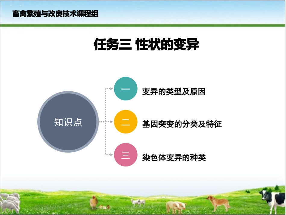 项目一任务三性状的变异现象_第2页