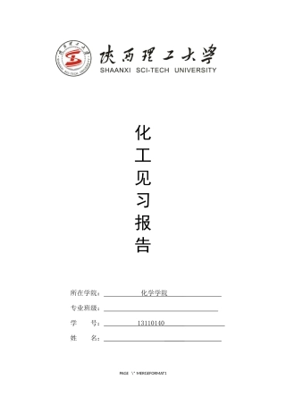 化工见习报告-(2)