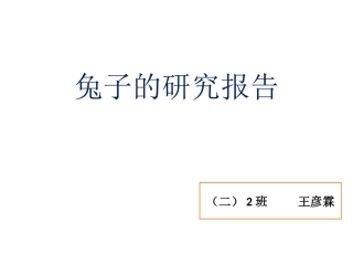 小白兔的研究报告