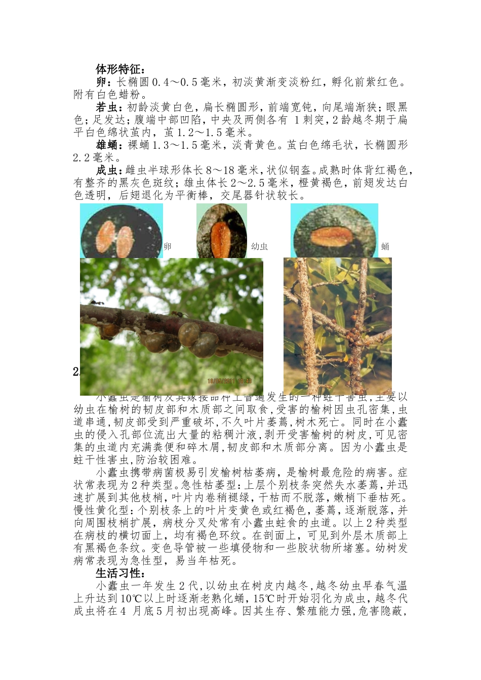 几种北方常见园林病虫害防治_第2页