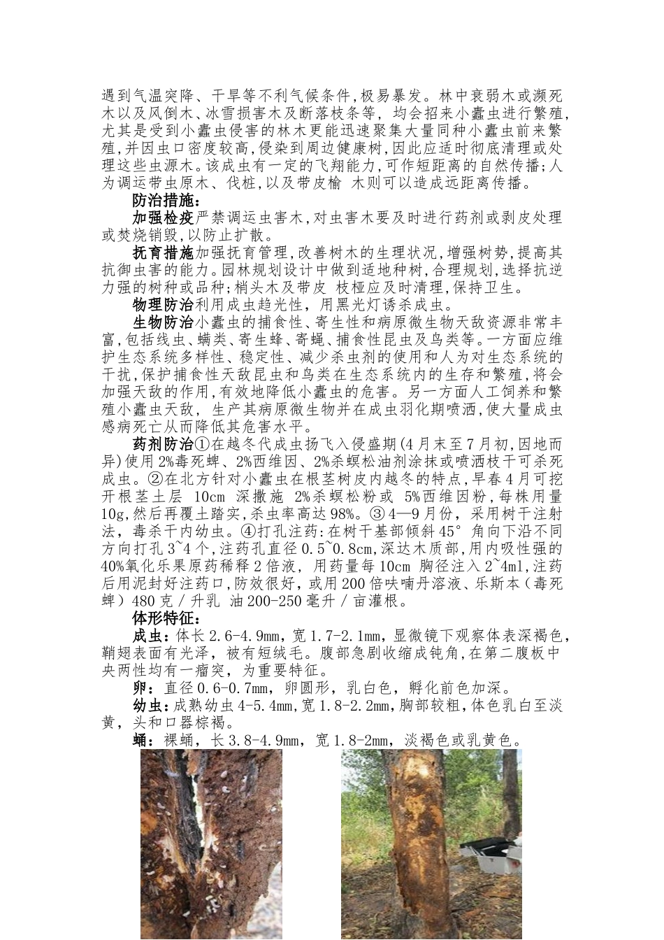 几种北方常见园林病虫害防治_第3页