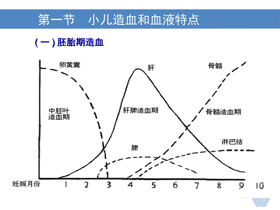 小儿造血和血液特点_第2页