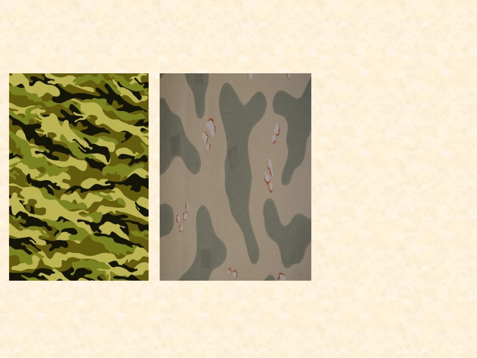 小飞机与降落伞课件_第2页