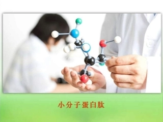 小分子蛋白肽是什么
