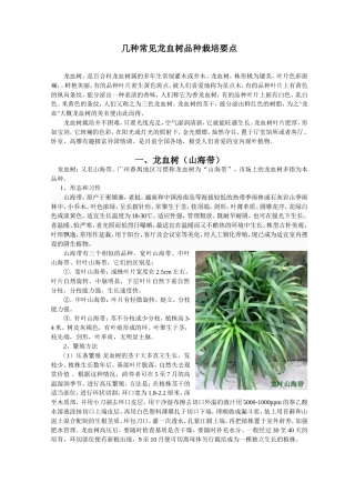 几种常见龙血树品种栽培要点