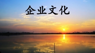 小米的企业文化