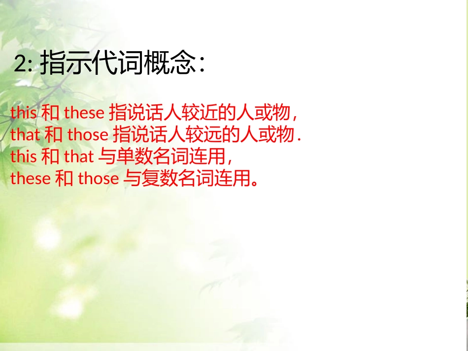 小升初指示代词课件_第3页