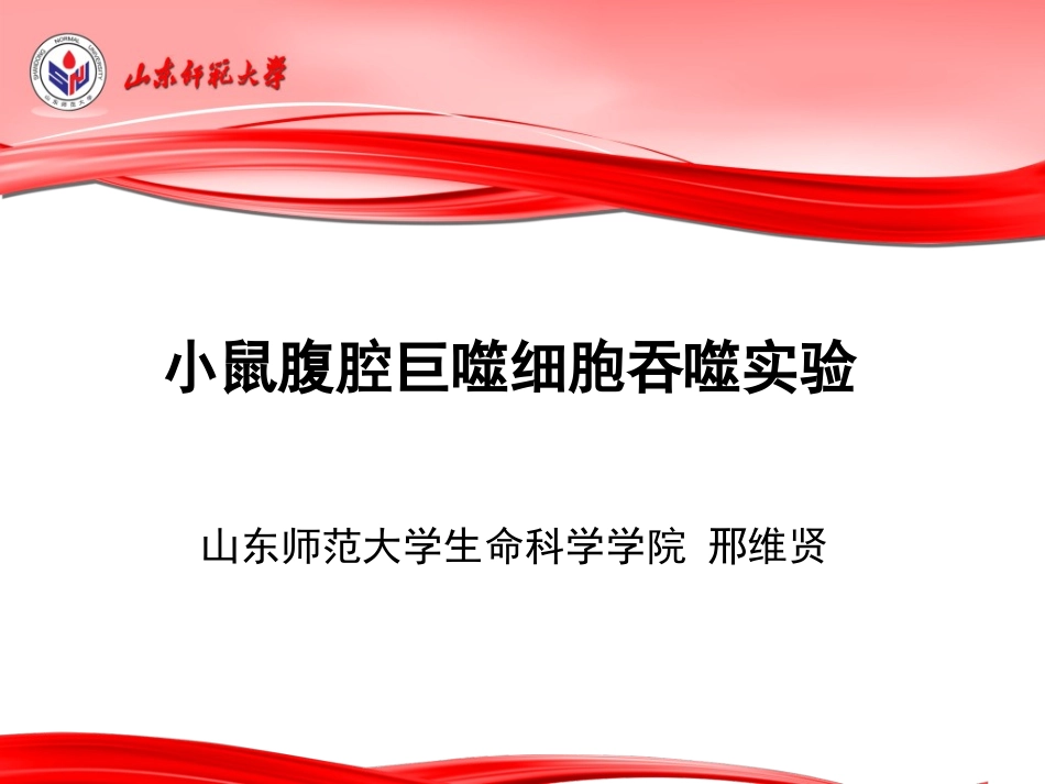 小鼠腹腔巨噬细胞吞噬实验_第1页