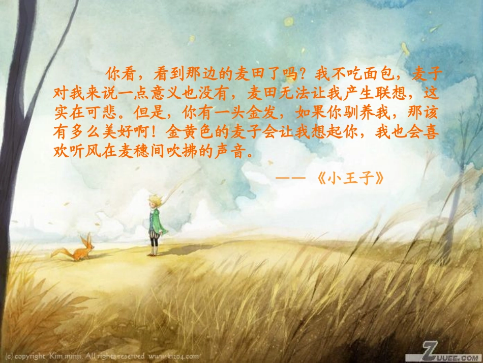 小王子读后感_第1页
