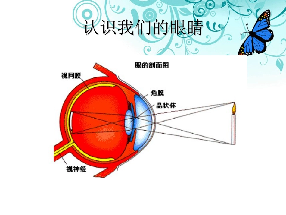 小学用眼卫生和健康教育_第3页
