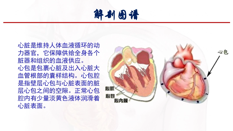 心包填塞应急预案_第2页