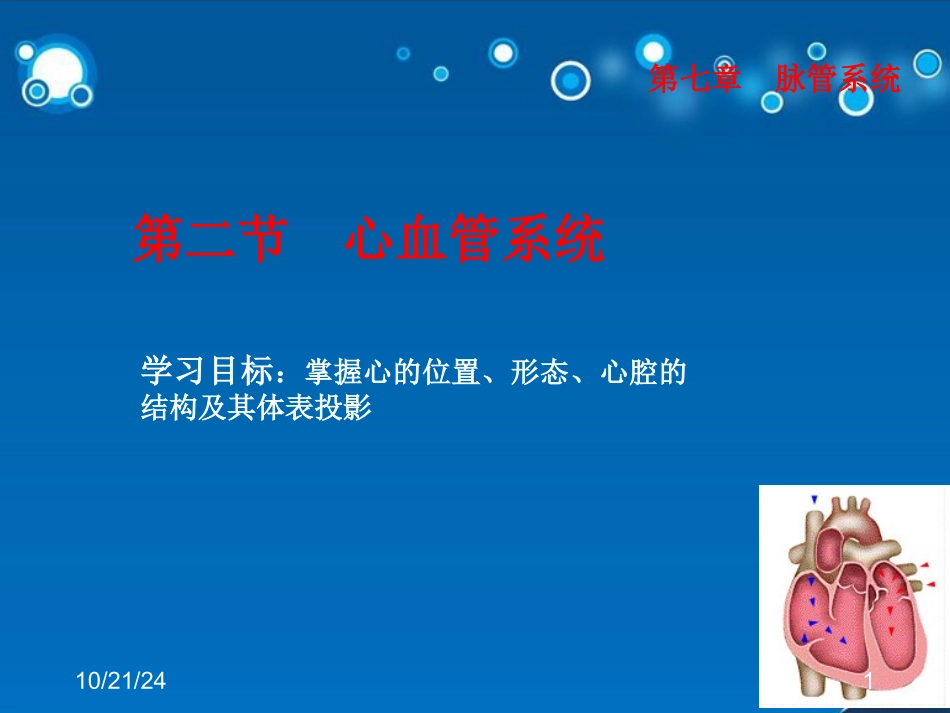 心的位置形态结构_第1页