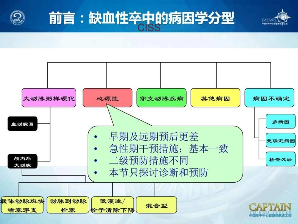 心源性卒中的诊断及预防_第2页