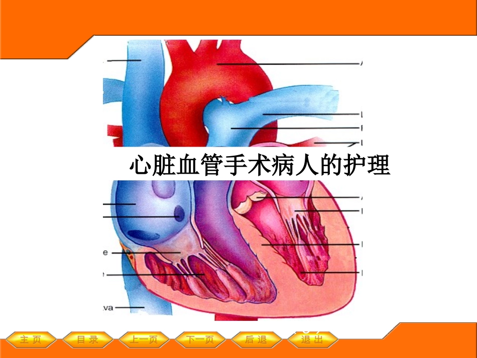 心脏手术的护理_第1页