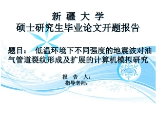 新疆大学开题报告