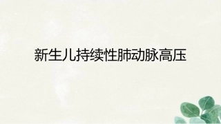 新生儿持续性肺动脉高压