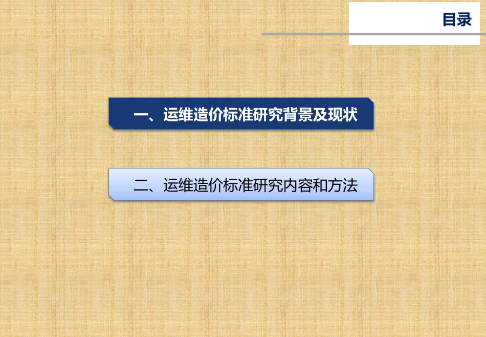 信息化运维造价定额标准精编版_第2页