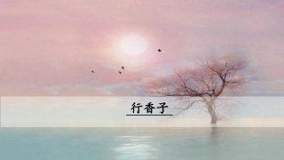 行香子课件精品