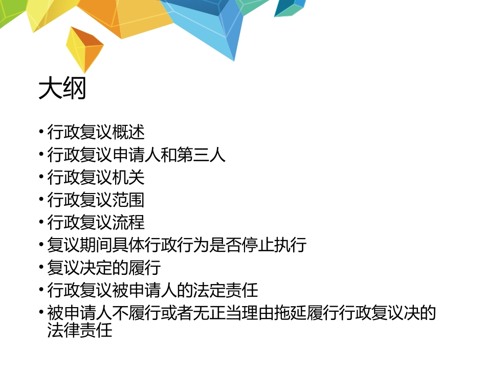 行政复议程序_第2页