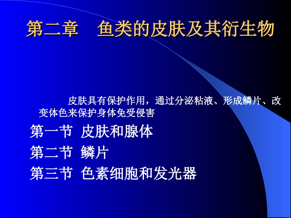形态学鱼类学第二章_第2页
