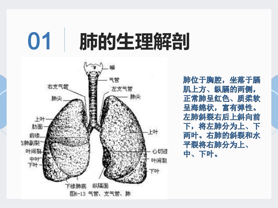 胸腔镜下右上肺叶切除淋巴结清扫术的手术配合_第3页