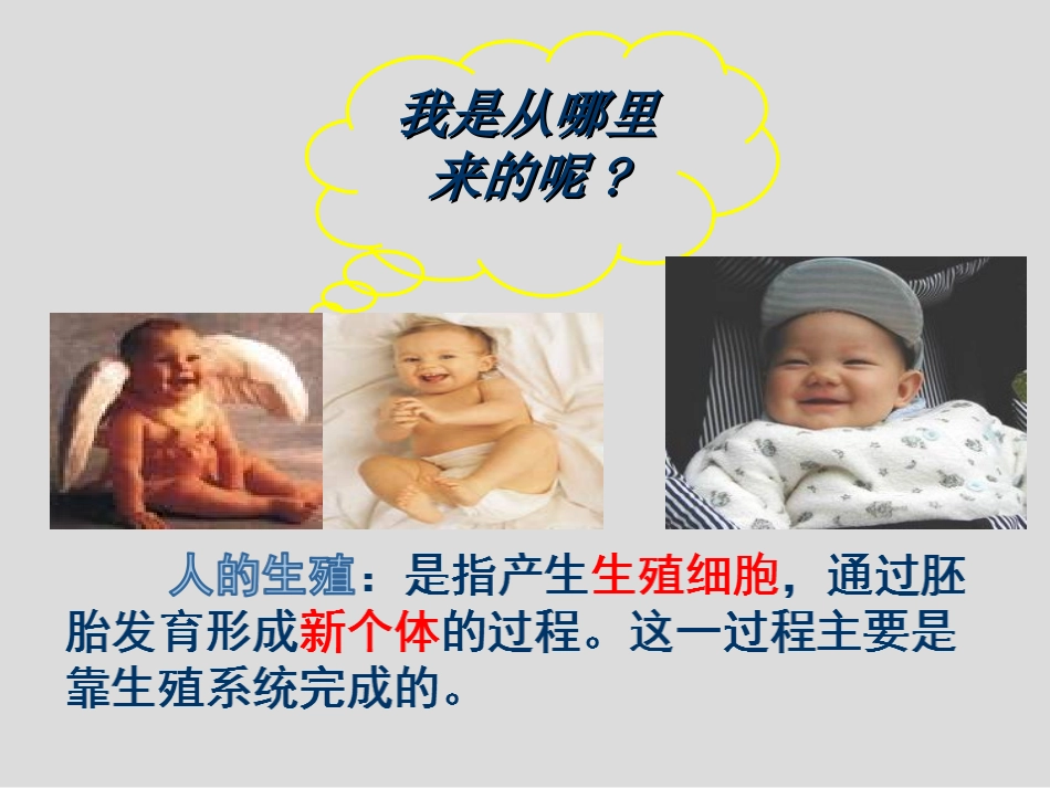 修改人的生殖过程最新_第2页
