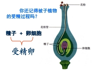 修改人的生殖过程最新