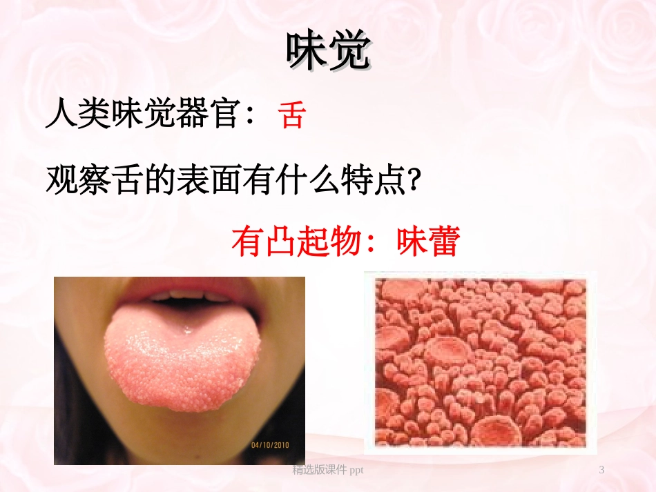嗅觉味觉触觉_第3页
