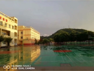 学科带人人陈述内容