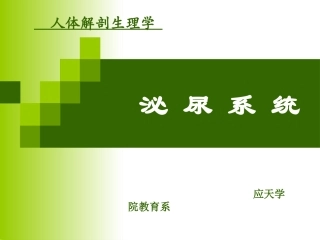 学前儿童卫生保健泌尿系统