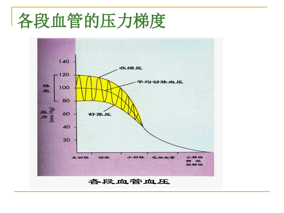 血压及其调节_第3页