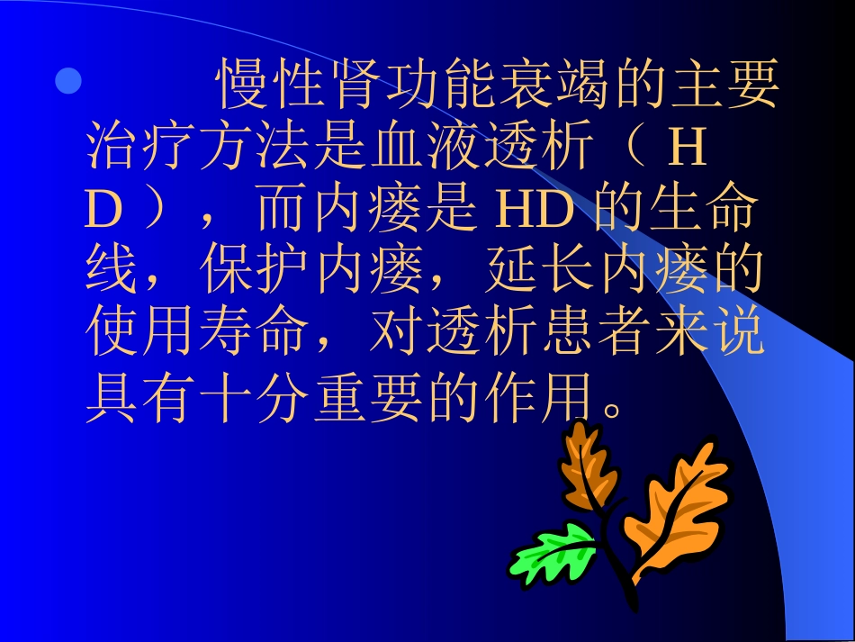 血液透析患者内瘘管护理幻灯片_第2页