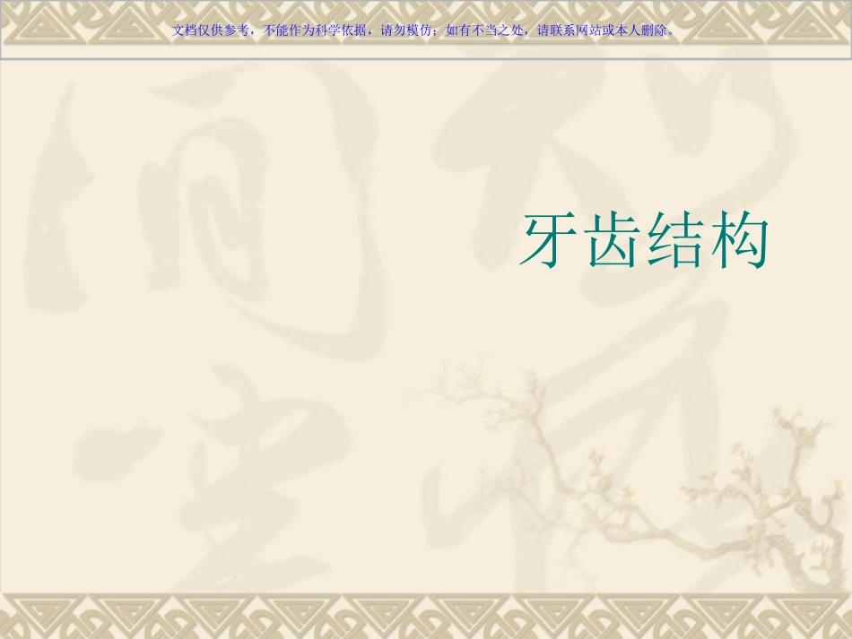 牙科基础知识培训课件_第1页