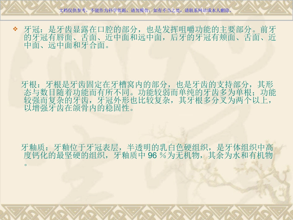 牙科基础知识培训课件_第3页