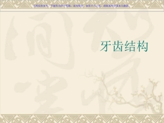 牙科基础知识培训课件